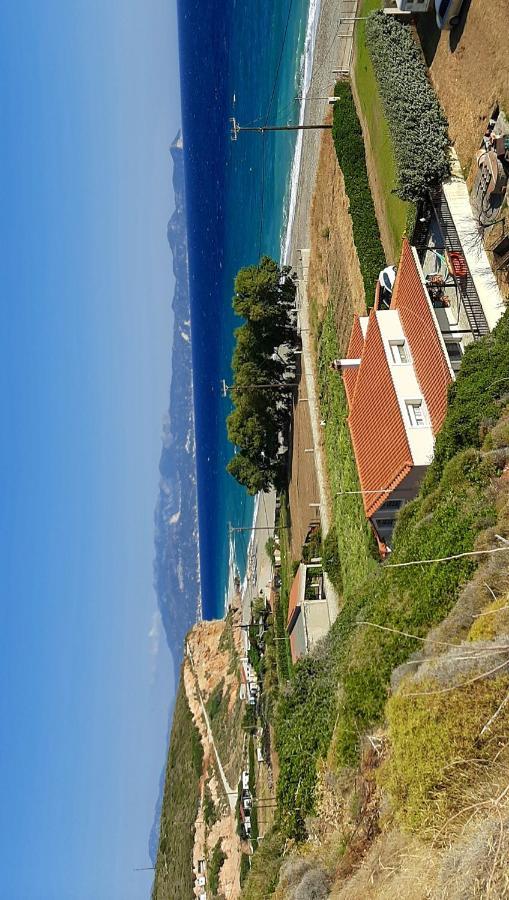 Villa Dimitra モルテリ エクステリア 写真