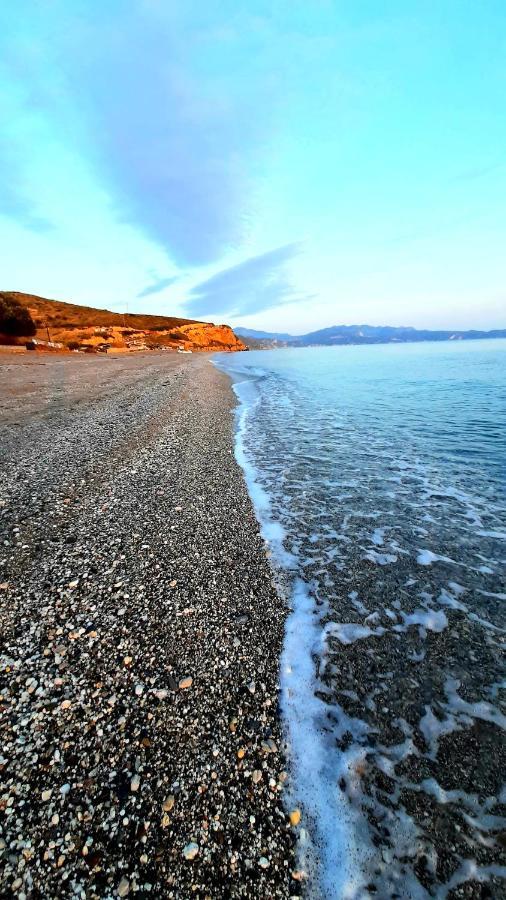 Villa Dimitra モルテリ エクステリア 写真