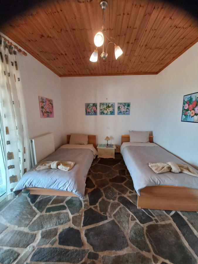 Villa Dimitra モルテリ エクステリア 写真
